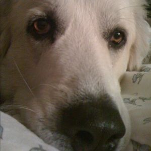 Meet your Posher, Lorraine